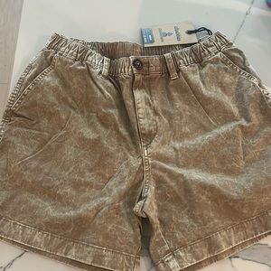 Chubbies Beach Cruiser Shorts